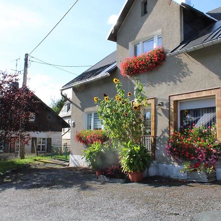 Ferienwohnung am Mühlbach Klingenthal Exterior foto