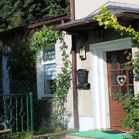 Ferienwohnung am Mühlbach Klingenthal Exterior foto
