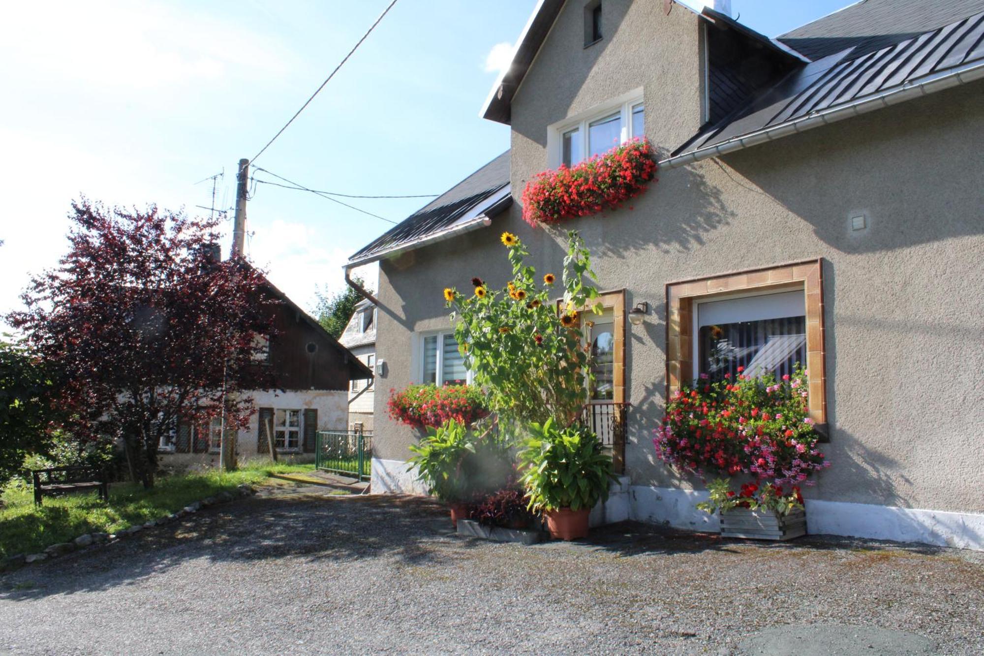 Ferienwohnung am Mühlbach Klingenthal Exterior foto